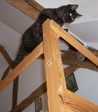 http://chris-dolley.chez-alice.fr/climb3.jpg